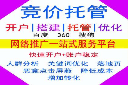 SEM代理服务：助力企业精准营销案例解析
