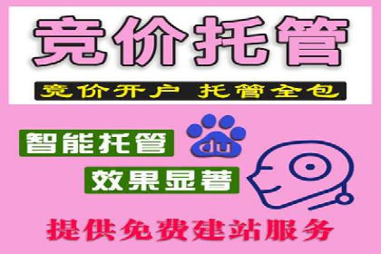 提高托管SEM竞价ROI的实战技巧
